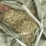 河南优质花生秧细粉常年供货品质保证价格优惠全国发货
