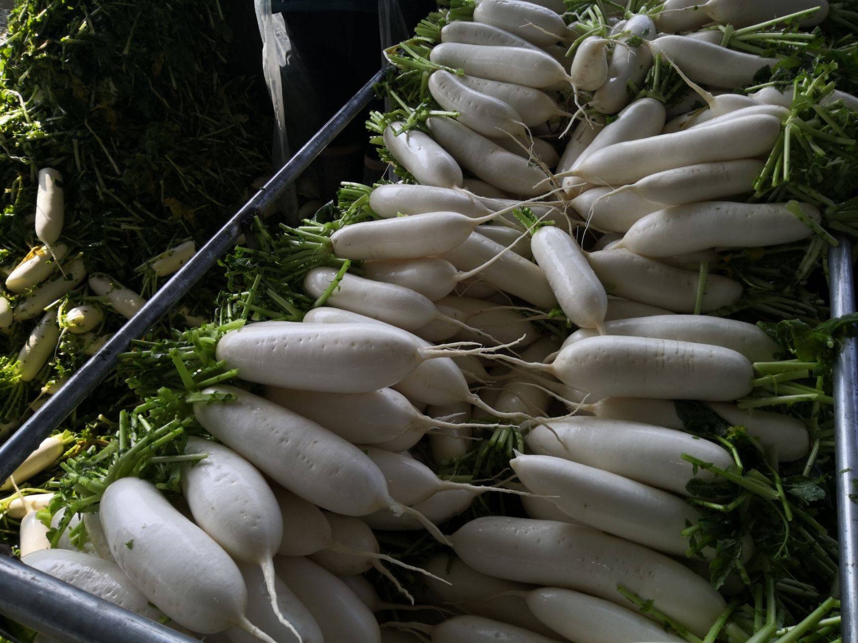 一个热闹的菜市场摊位,整齐摆放着大量白萝卜和胡萝卜,旁边还有绿叶部分未切除的新鲜萝卜,摊主正在整理货物,背景有人在挑选蔬菜,展现日常生活场景 菜市场中的萝卜摊位