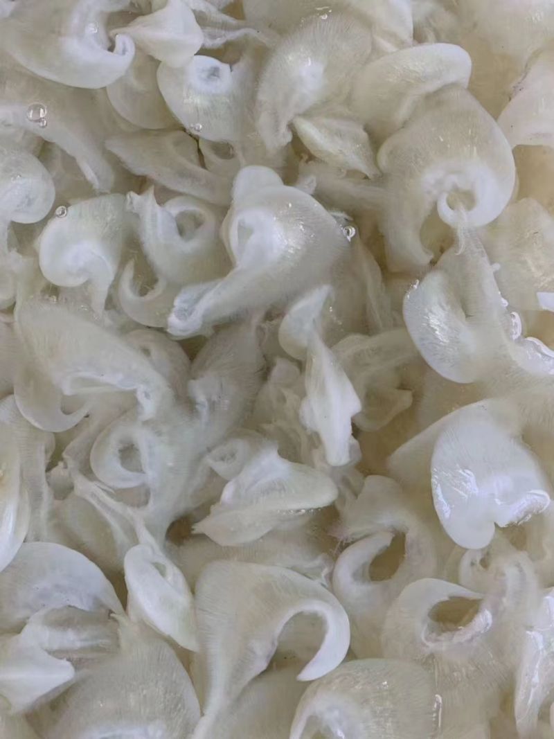 【精选】优质供货电商，鱼翅，福建福州，一手货源，量大价优