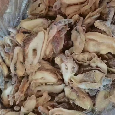优质供货电商，黄金鲍螺-螺嘴肉，福建福州，一手货源，价优