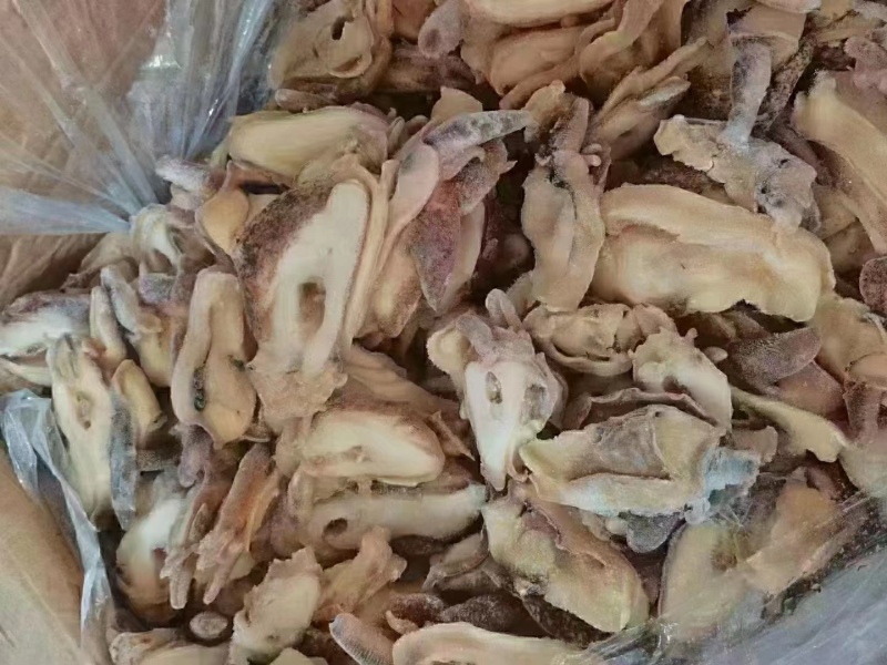 优质供货电商，黄金鲍螺-螺嘴肉，福建福州，一手货源，价优