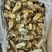 优质供货电商，黄金鲍螺-螺嘴肉，福建福州，一手货源，价优