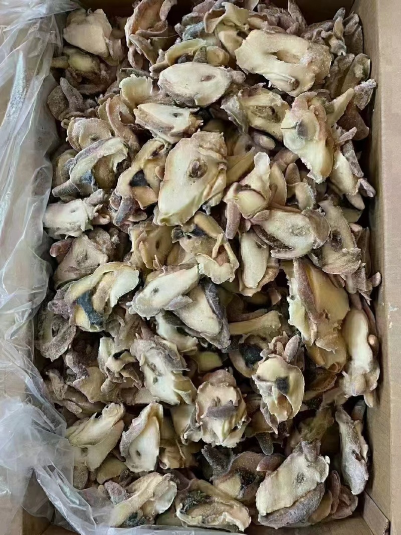 优质供货电商，黄金鲍螺-螺嘴肉，福建福州，一手货源，价优