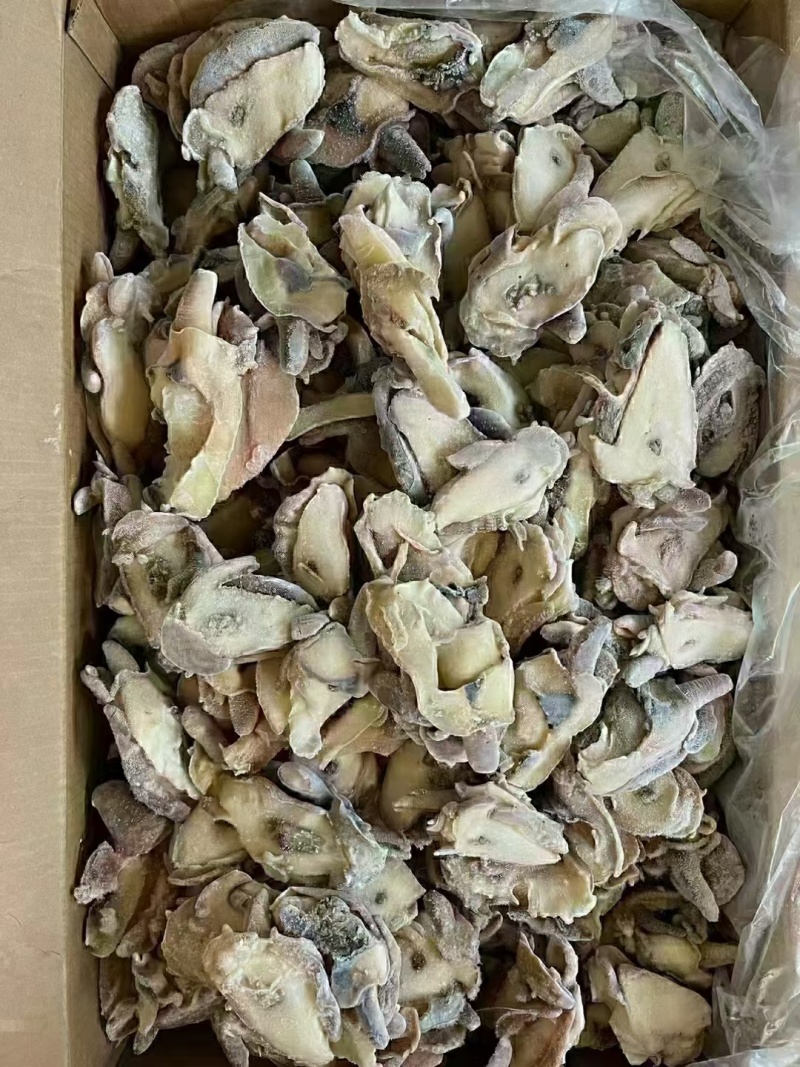 优质供货电商，黄金鲍螺-螺嘴肉，福建福州，一手货源，价优