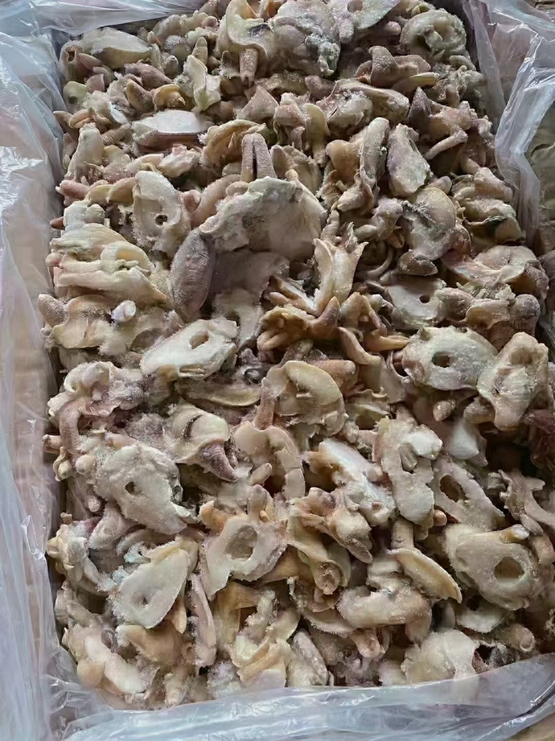 优质供货电商，黄金鲍螺-螺嘴肉，福建福州，一手货源，价优