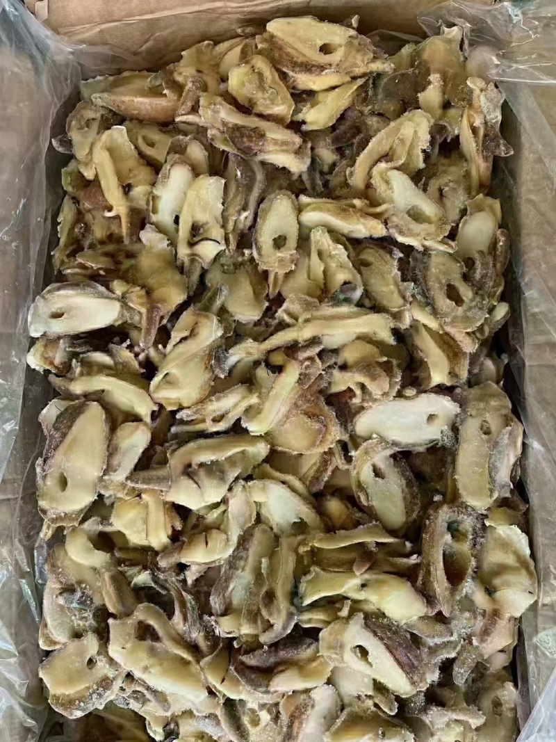 优质供货电商，黄金鲍螺-螺嘴肉，福建福州，一手货源，价优