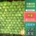 甘蓝通货1~2公斤量大从优一手货源批发价格优惠