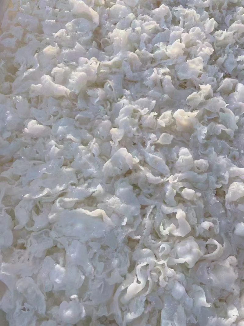 福建优质水产白玉蚌片味道鲜美量大价格优惠欢迎合作