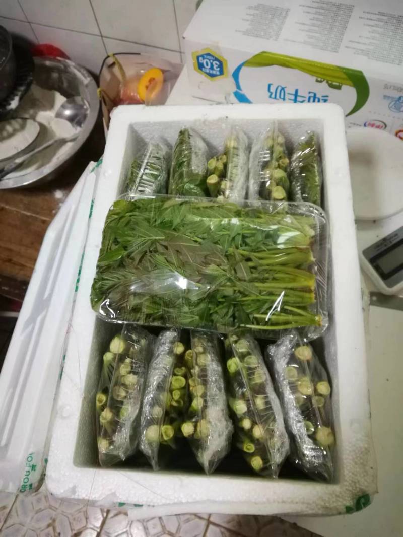 山西运城香椿芽对接电商市场商超等各类客户