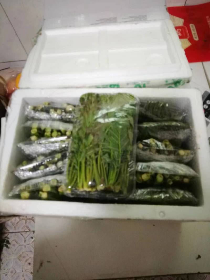 山西运城香椿芽对接电商市场商超等各类客户