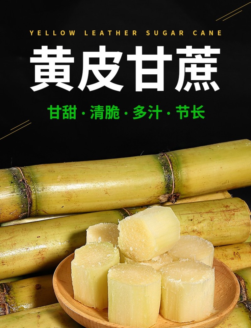 广西玉林黄皮甘蔗，产地直供，大量上市，欢迎大家来电咨询