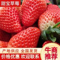 【甜宝草莓】山东精品草莓口感香甜现摘现发可对接商超