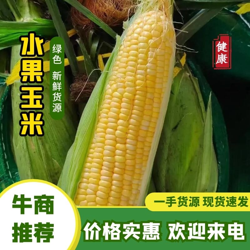 水果玉米太阳花泰鲜华康系列品种齐全价格优惠市场商超电商