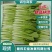 【精品快菜】常年供应，上车价0.4.支持视频看货量大质优