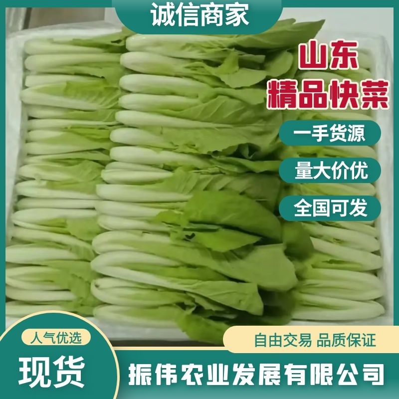 【精品快菜】常年供应，上车价0.4.支持视频看货量大质优