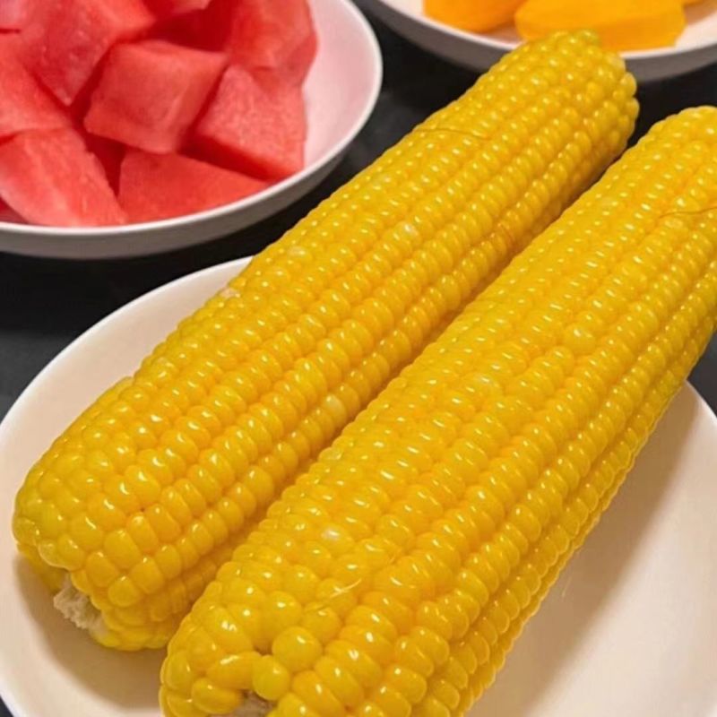 【精品】太阳花玉米大量现货供应价格优惠一手货源欢迎合作