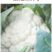 白花郎松花菜种子西兰花菜种籽产量耐寒热四季可种植