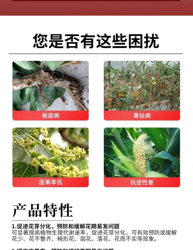 奥丰20亿哈茨木霉菌快速生根抗重茬抑菌防病农用微生物菌剂