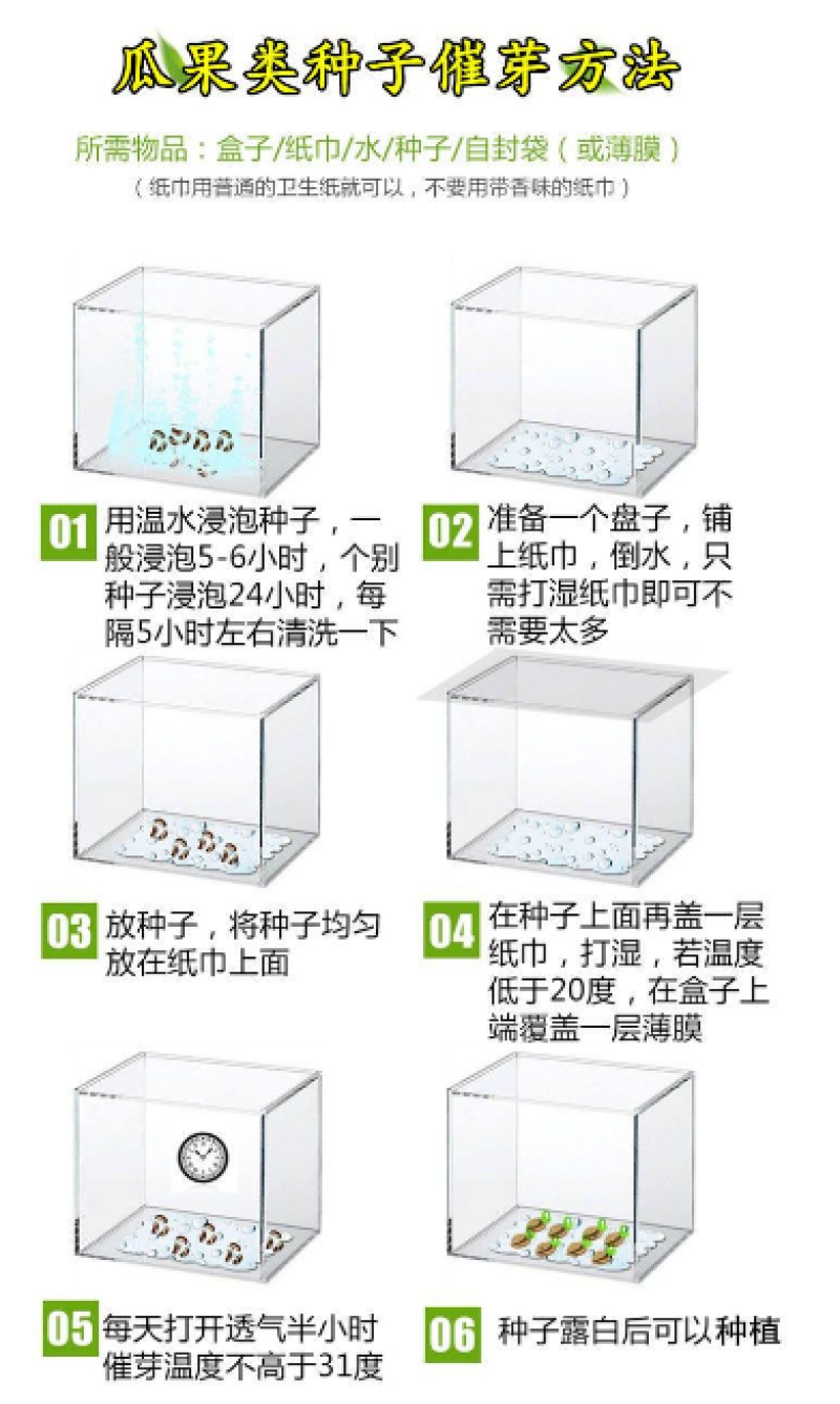 红太阳西瓜种子,大红瓤,黄皮西瓜种子