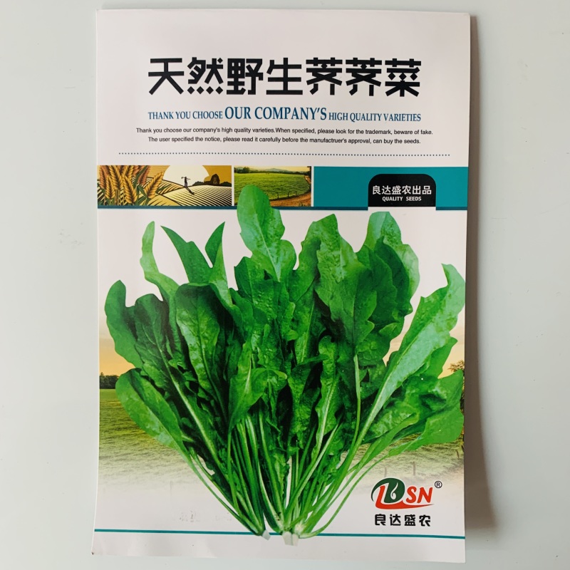 荠菜种子纯野生黄花菜种四季播菜籽农家庭院阳台盆栽蔬菜有机