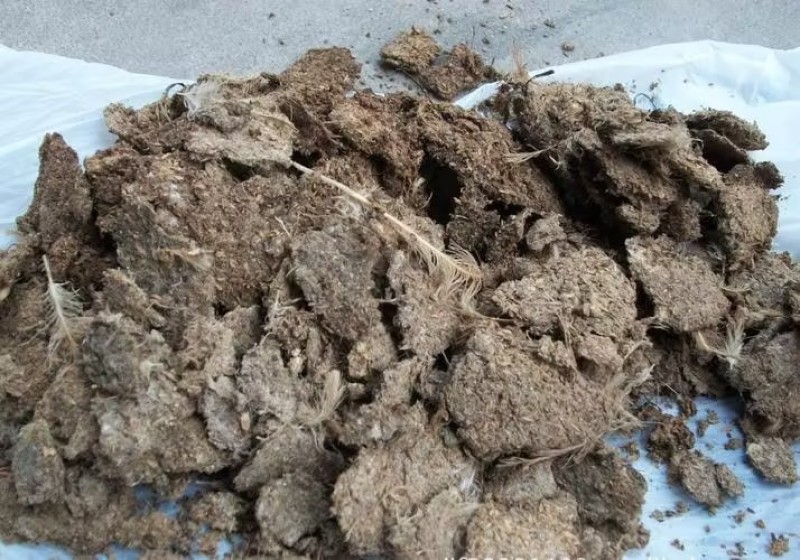 湖南优质发酵鸡粪自然晒干无杂质有机肥厂家直供量大从优