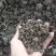 湖南优质发酵鸡粪自然晒干无杂质有机肥厂家直供量大从优