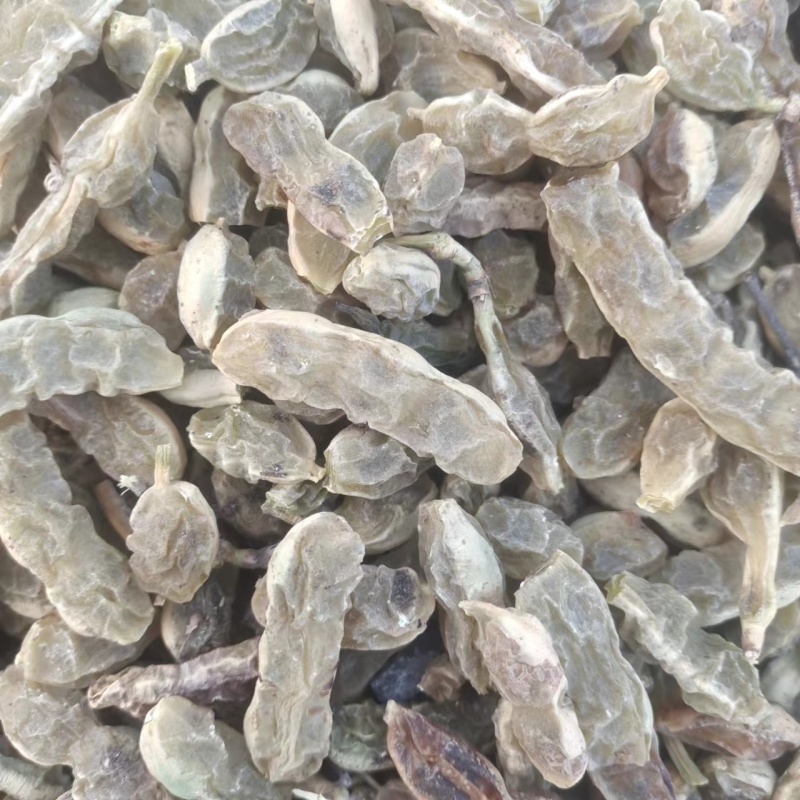 【槐角】甘肃产地直供质量保证货源充足量大优惠欢迎订购