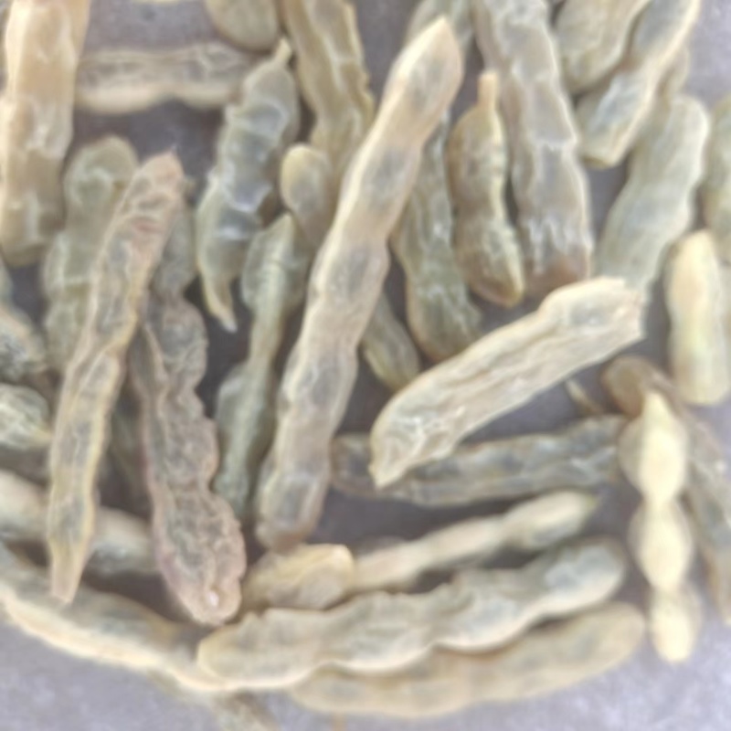 【槐角】甘肃产地直供质量保证货源充足量大优惠欢迎订购