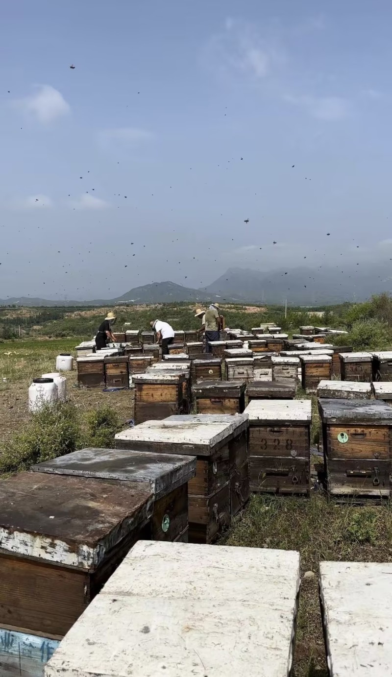 批发结晶土蜂蜜自然成熟无添加产地一手货源品质保证