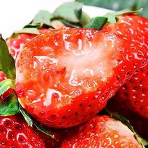 青岛精品草莓香甜可口，货源充足稳定，支持视频