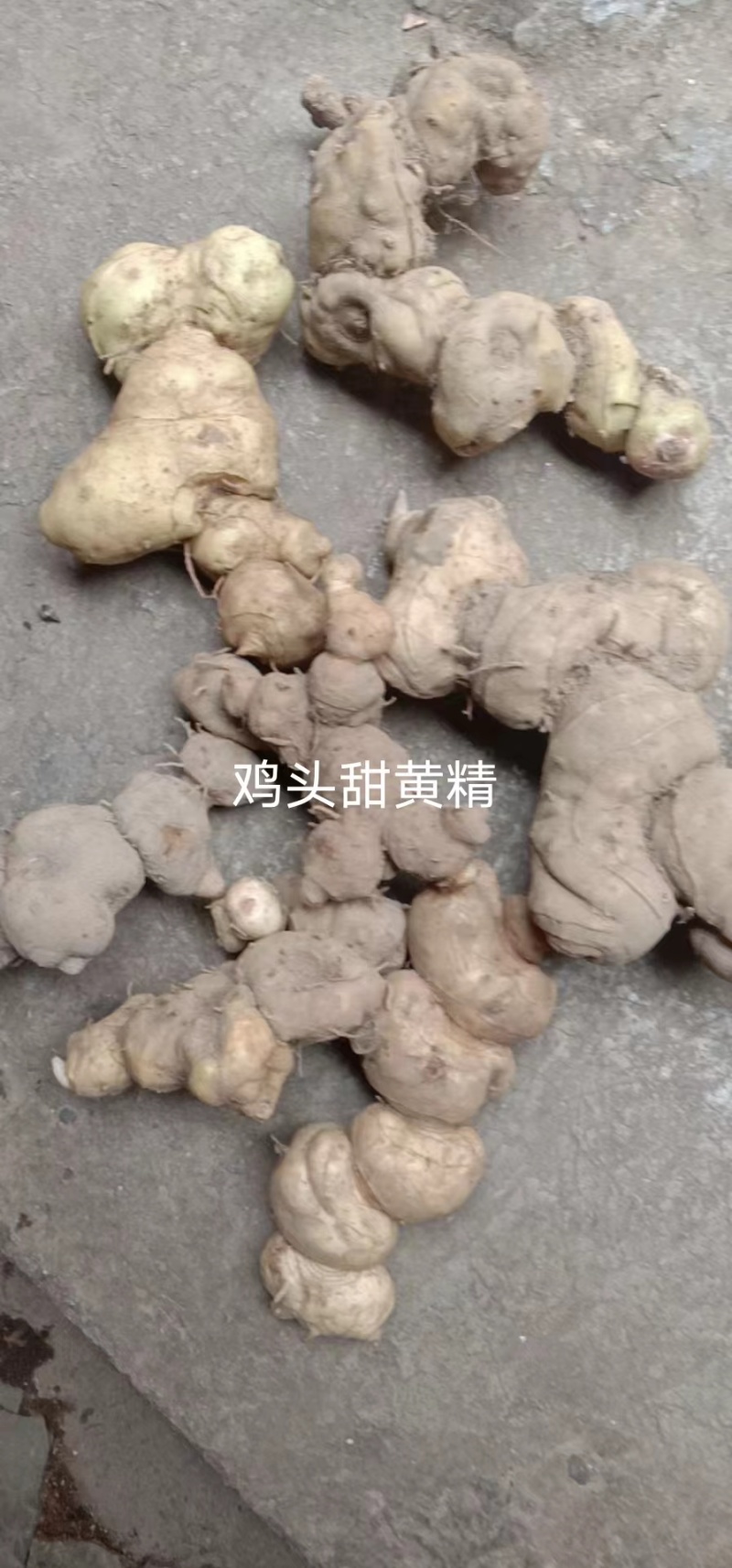 甜黄精鸡头甜黄精姜形黄精菱形黄精都有欢迎下单