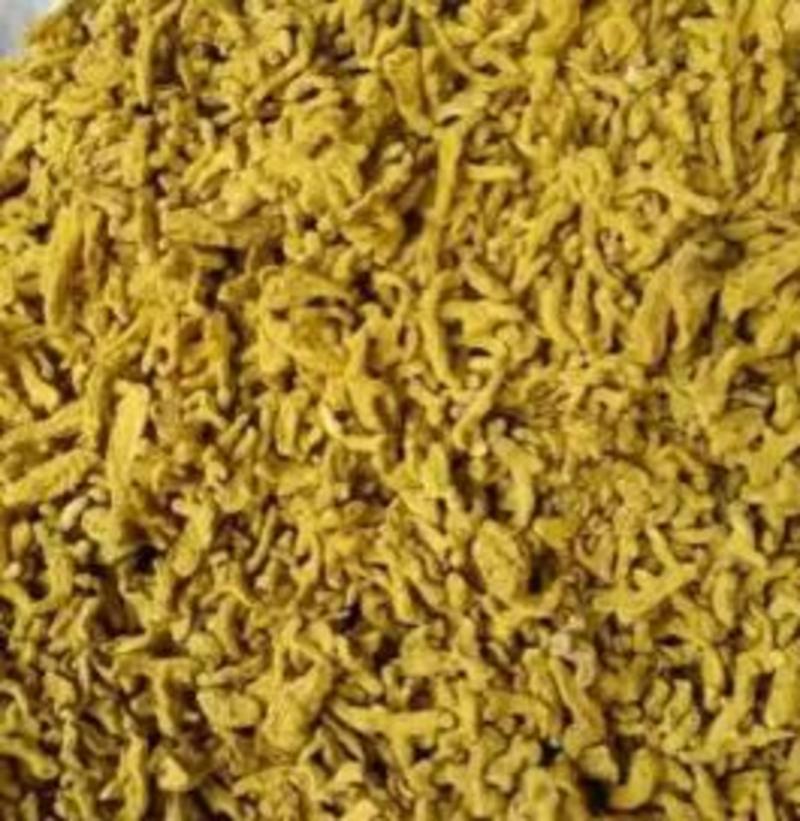 精品四川姜黄品质保证货量充足量大从优欢迎全国客商采购