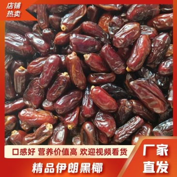 优选精品伊朗黑椰枣一手货源，现货批发，保质保量，量大优惠