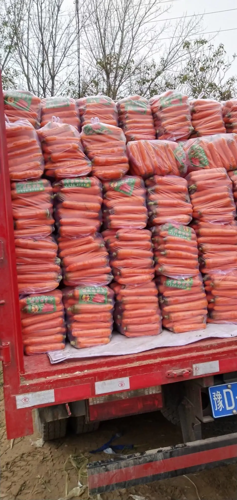 【实力】三红胡萝卜，河南水洗胡萝卜，规格齐全大量供应