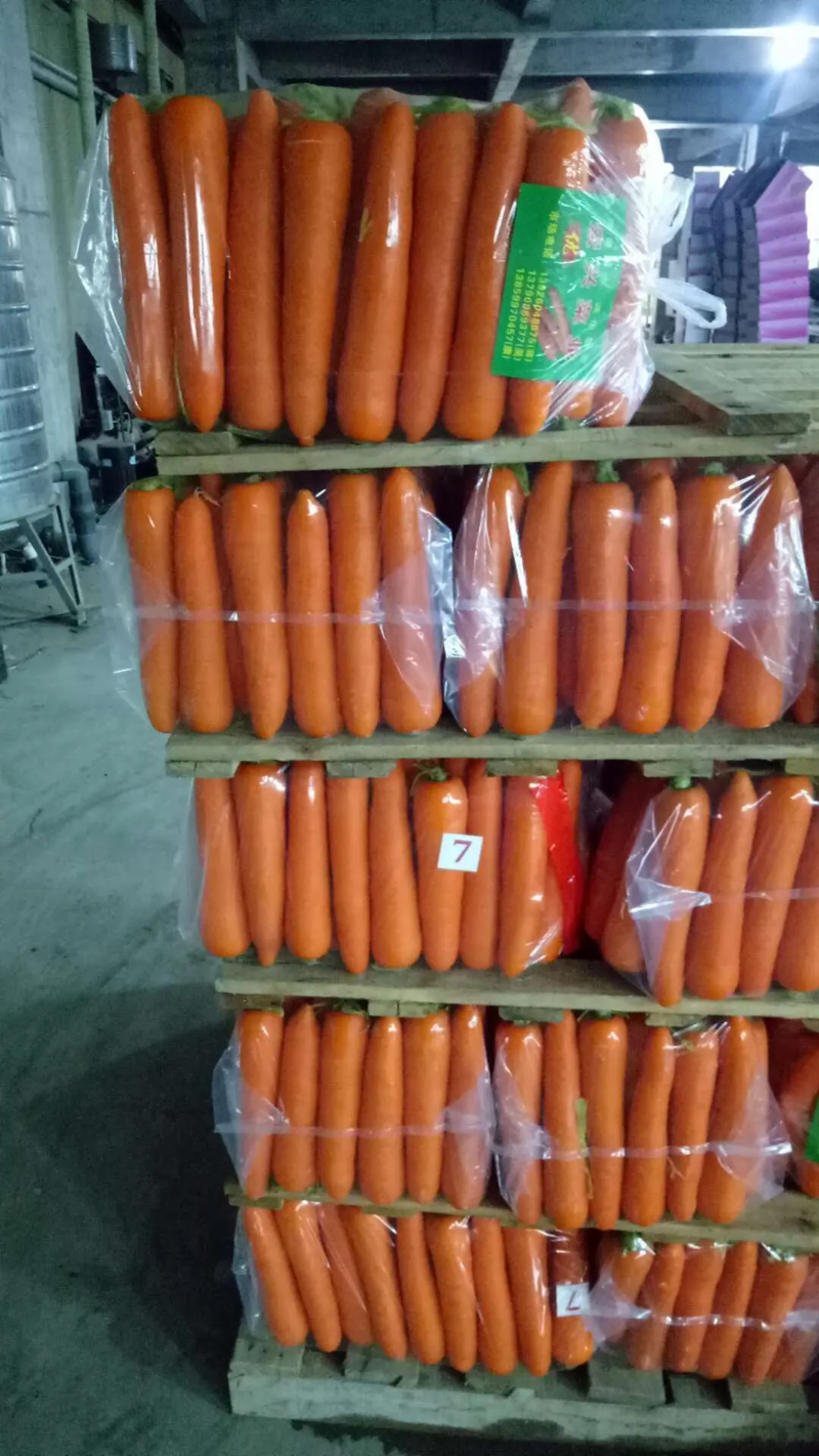【实力】三红胡萝卜，河南水洗胡萝卜，规格齐全大量供应