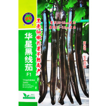 黑线茄种子黑亮细嫩线茄种子长果早熟高产商品性佳