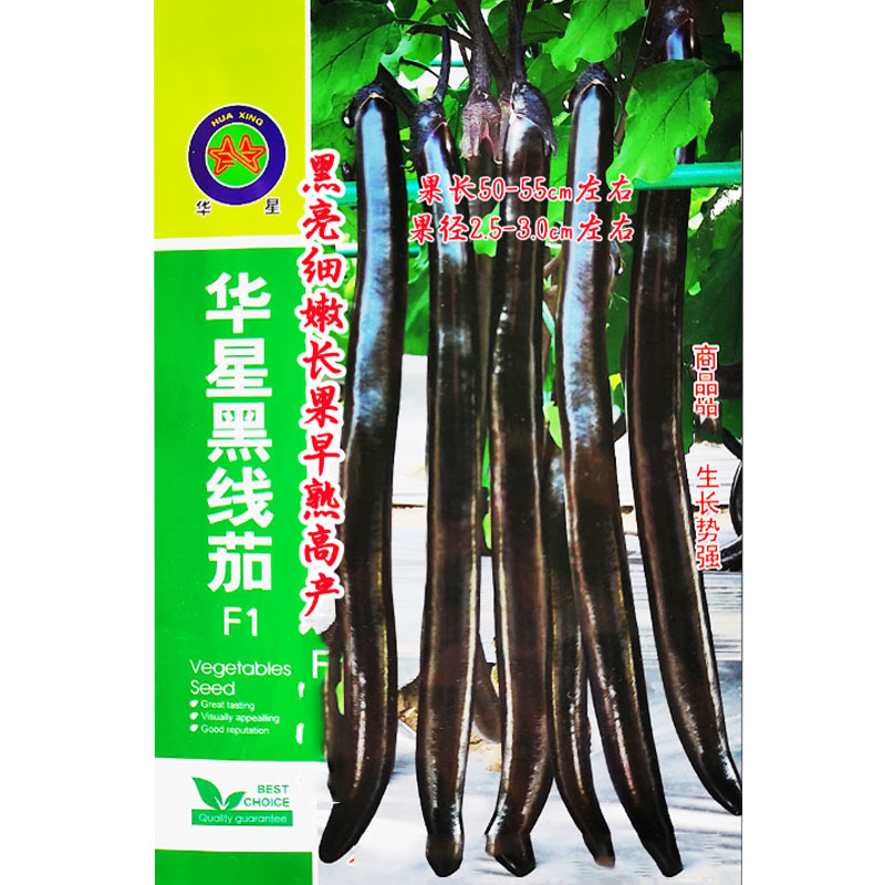 黑线茄种子黑亮细嫩线茄种子长果早熟高产商品性佳