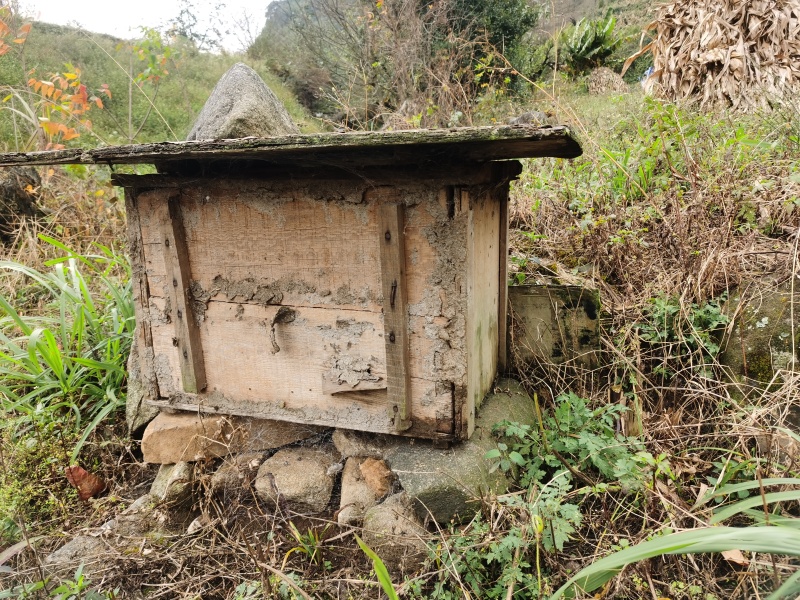 美波度42°以上土蜂蜜农家自产自销价格优惠云南产地发货