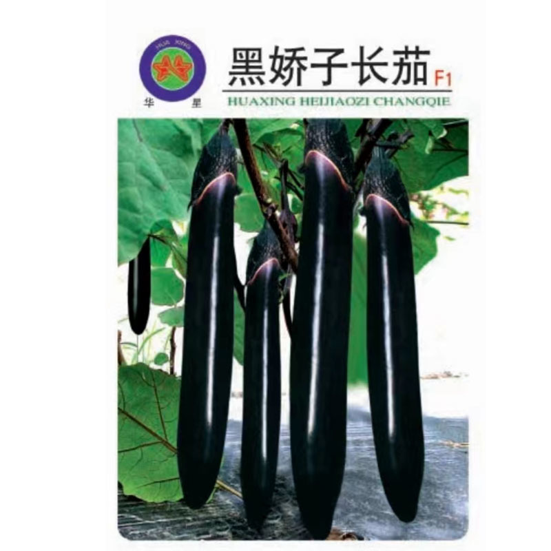 黑娇子长茄种子早熟高产春秋四季茄子种籽新一代品种