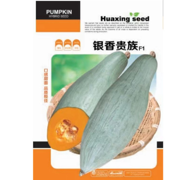 板栗南瓜种子贵族南瓜丑瓜杂交产量高品相好软糯香甜