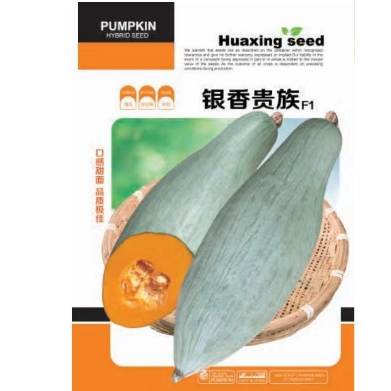 板栗南瓜种子贵族南瓜丑瓜杂交产量高品相好软糯香甜