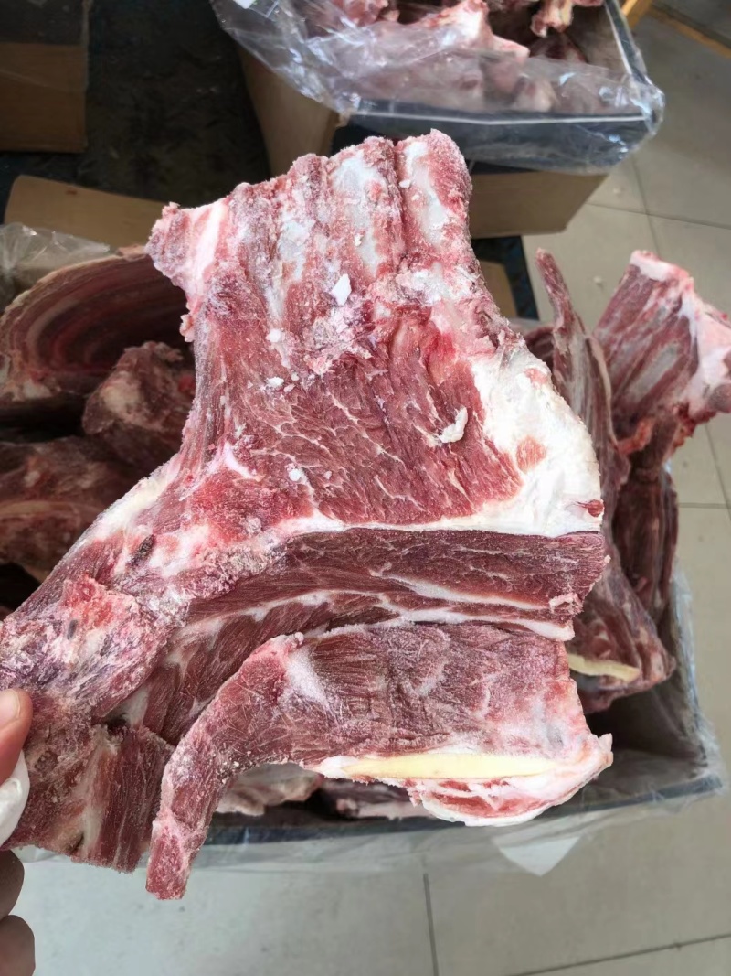 河间精品羊脊骨产地直发，保质保量，欢迎老板选购