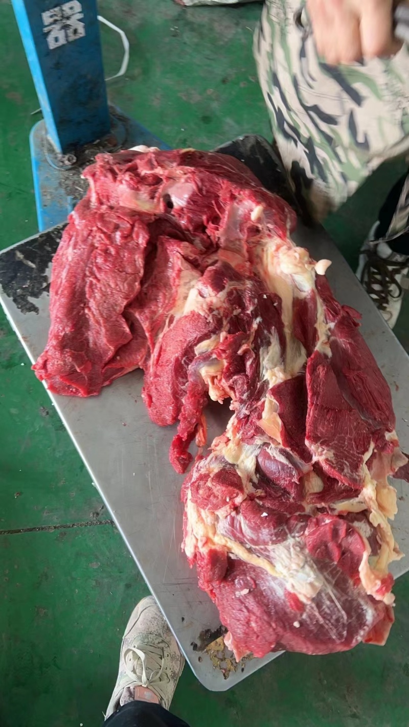 安徽驴肉批发新鲜无注水品质保证量大从优一手货源品质保证
