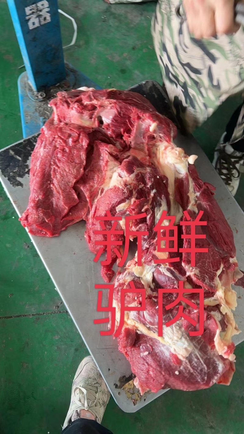 安徽驴肉批发新鲜无注水品质保证量大从优一手货源品质保证