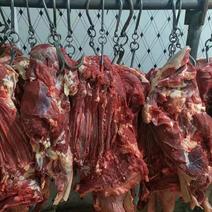 安徽驴肉批发新鲜无注水品质保证量大从优一手货源品质保证
