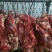 安徽驴肉批发新鲜无注水品质保证量大从优一手货源品质保证