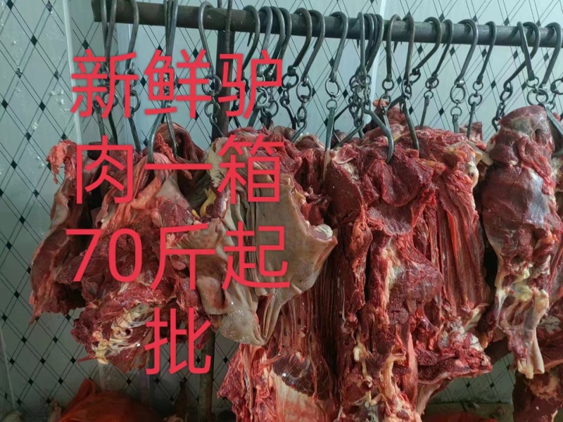 安徽驴肉批发新鲜无注水品质保证量大从优一手货源品质保证