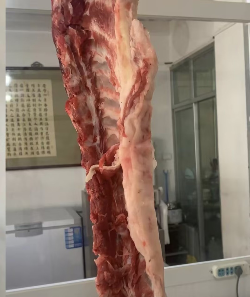 精品河间羊脊骨产地直发，产品保质保量，口感筋道美味