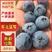 辽宁大连精品蓝莓颗颗精选产地直发保证质量来电订货