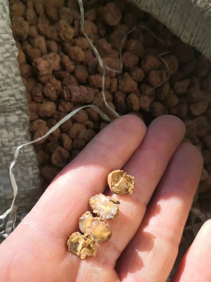 元胡延胡索大量现货量大从优现货先发欢迎电话联系